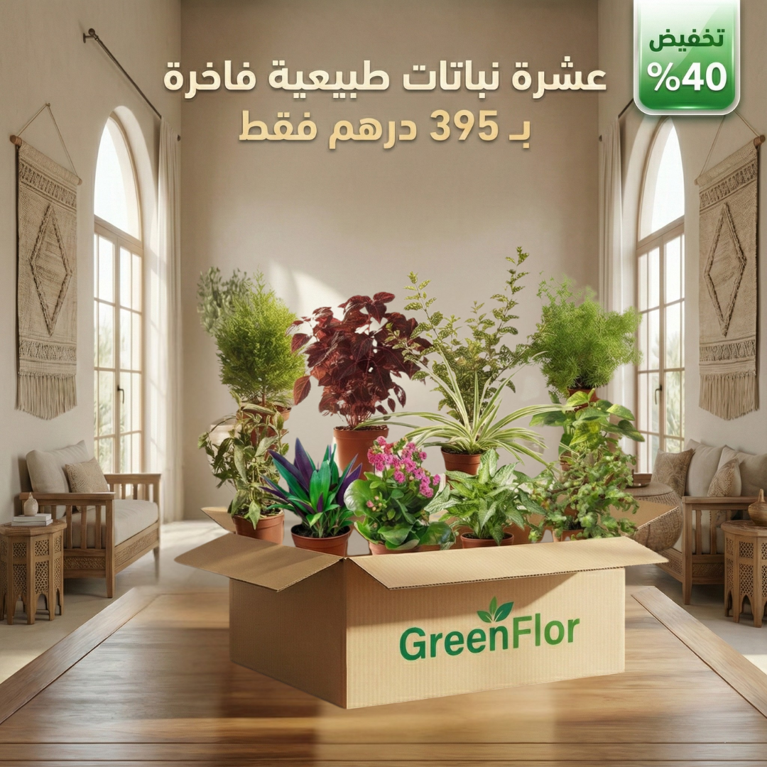 Pack GreenFlor 10 plantes