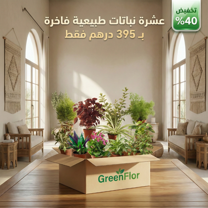 Pack GreenFlor 10 plantes