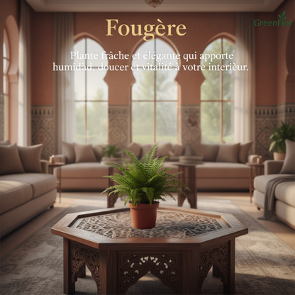 Pack GreenFlor 10 plantes