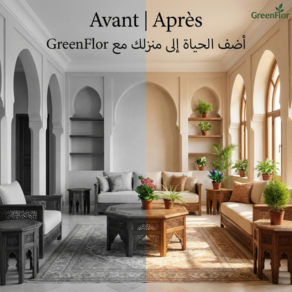 Pack GreenFlor 10 plantes