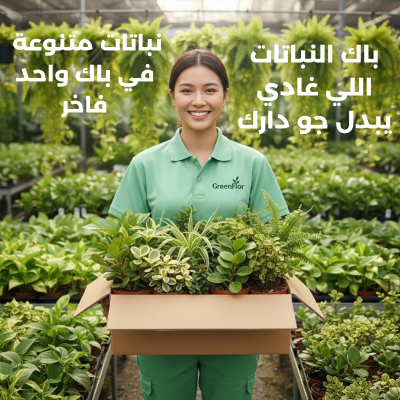 Pack GreenFlor 10 plantes