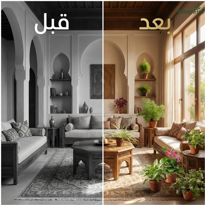 Pack GreenFlor 10 plantes