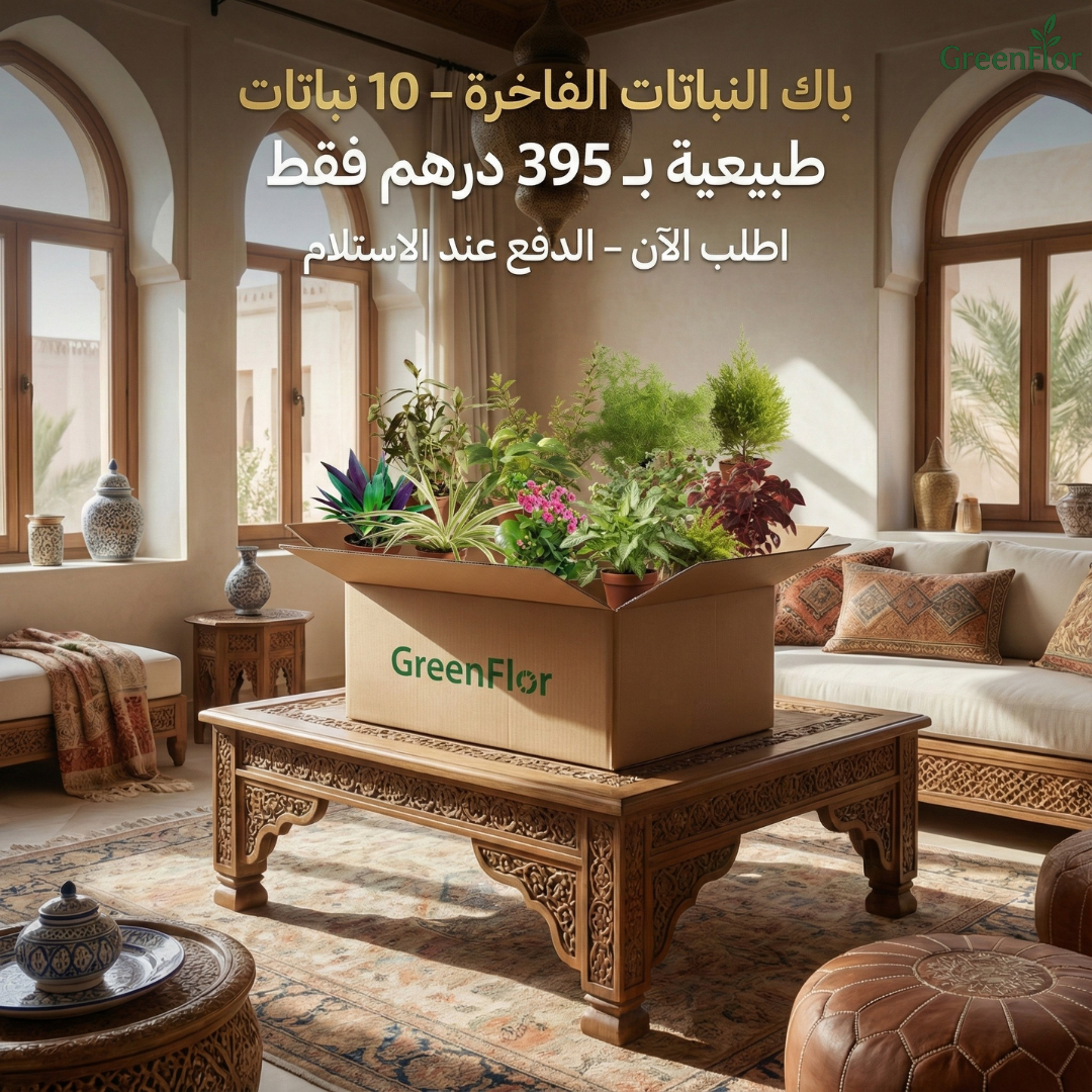 Pack GreenFlor 10 plantes