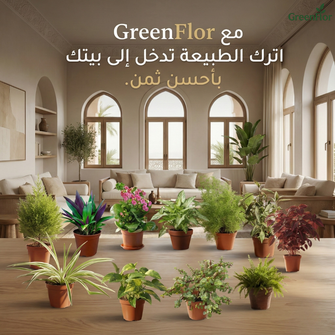 Pack GreenFlor 10 plantes