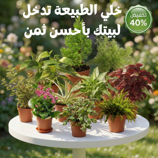 Pack GreenFlor 10 plantes